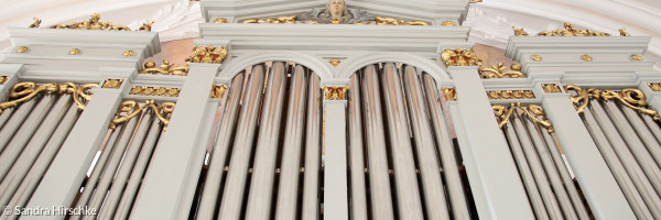 Orgelprospekt in Neustadt am Kulm