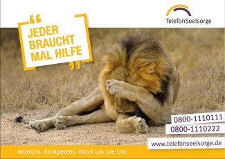 Ein Löwe, der sich mit einer Pranke die Augen reibt